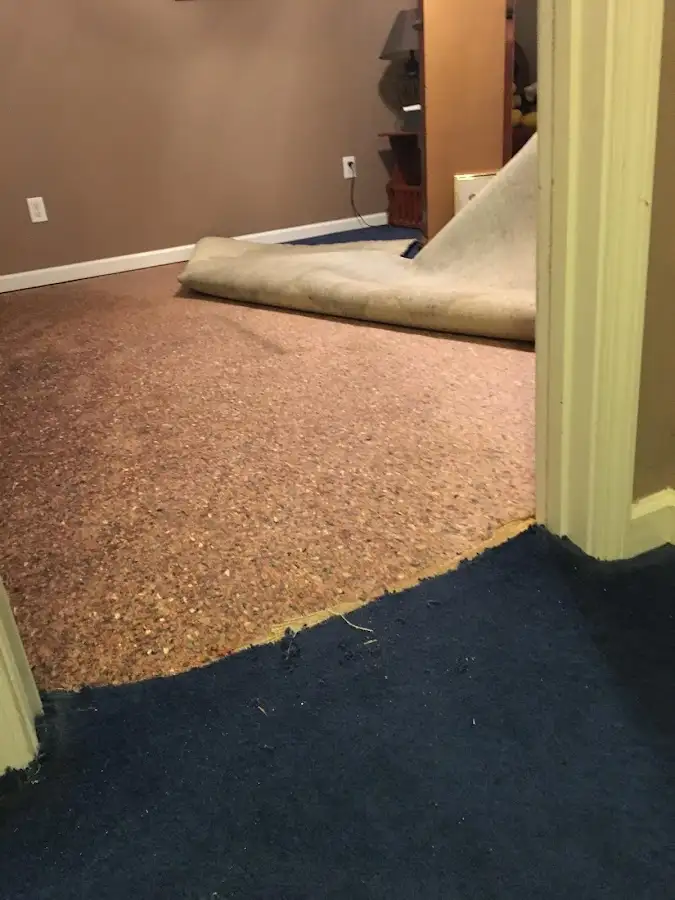 Carpet pad removal revealing water damage during Drying & Dehumidification in Laguna Beach