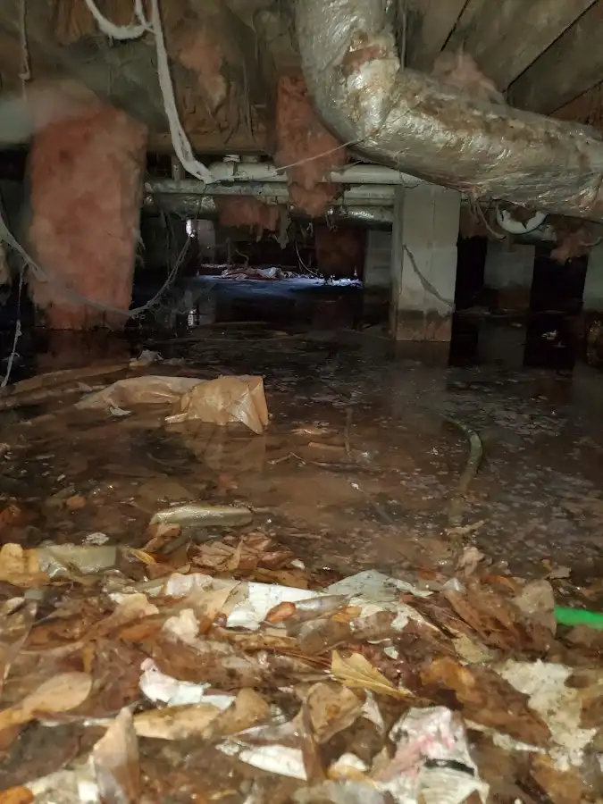 Crawl space flood assessment for Leak Detection & Repair in Laguna Beach