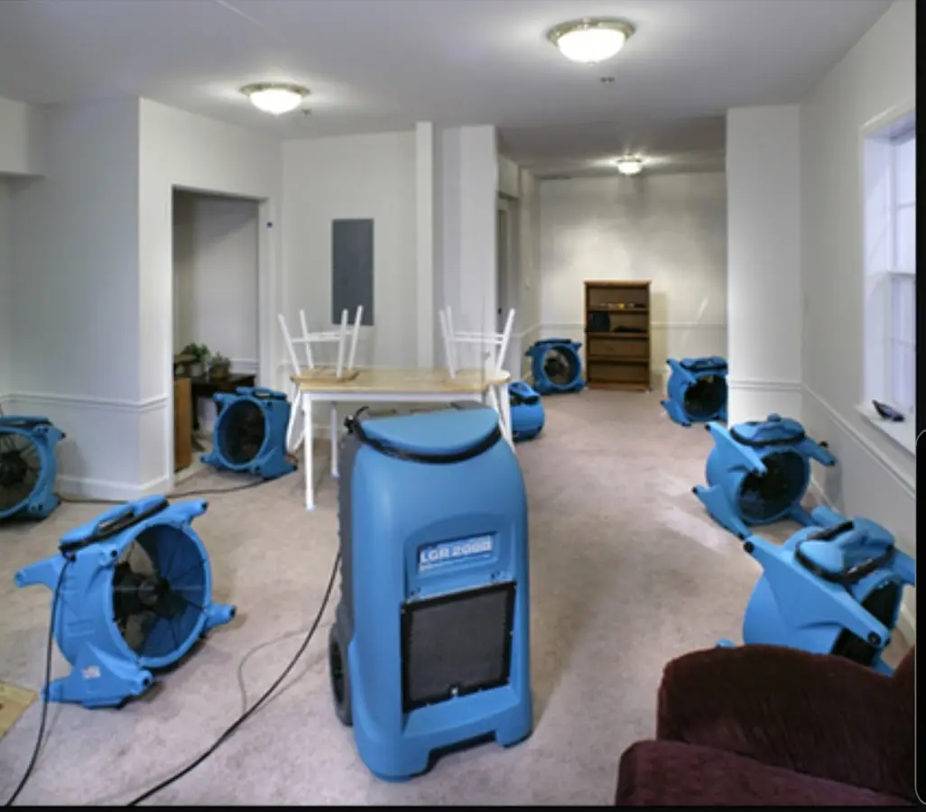 Air movers and dehumidifier setup for Water Extraction & Removal in Laguna Beach