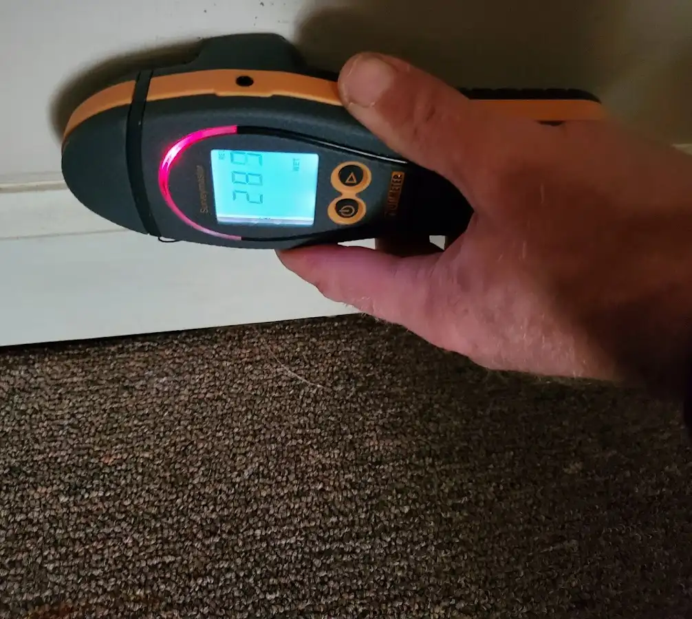 Moisture detection at baseboard during Sewage Cleanup & Sanitation in Laguna Beach